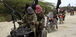 Borno Gov’t Frees 500 Suspected Terrorists