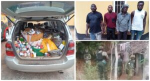 Criminal Gangs Terrorizing Edo Region Arrested