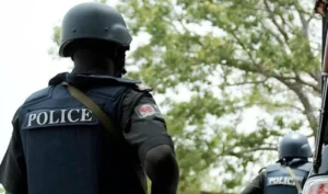 Police Reveals New Move In Fighting Kidnappers In Lagos