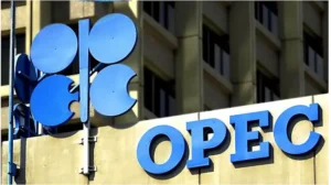 FG, OPEC Disagree Over Crude Oil Production In Nigeria