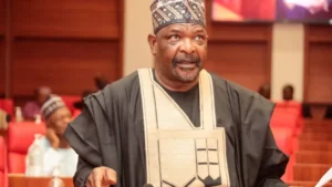 I Never said Tinubu Was Operating Two Budgets – Senator Ningi